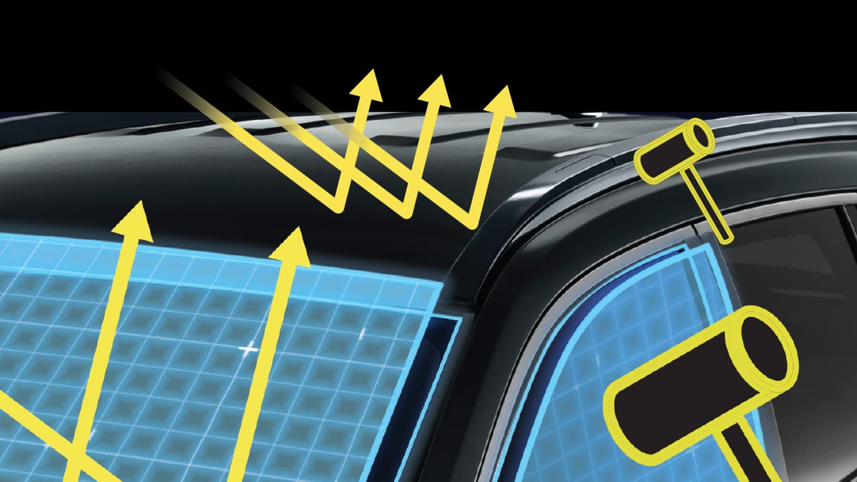 Security & Solar Film