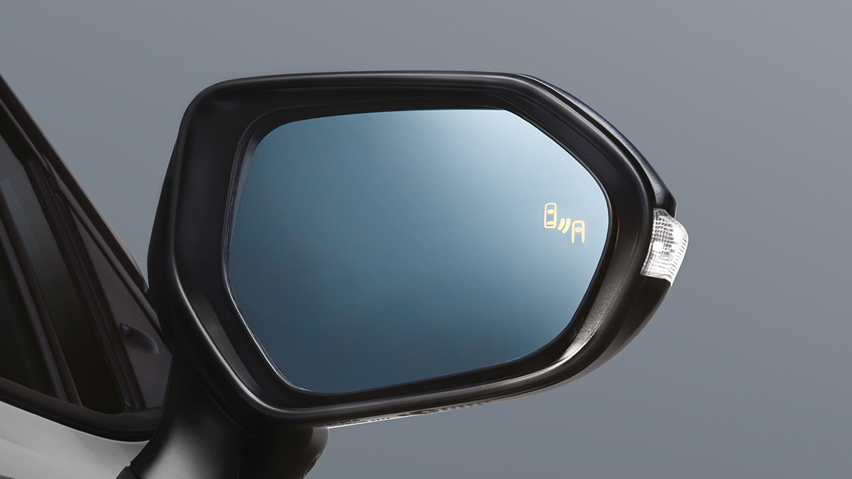 Blind Spot Monitor (BSM)