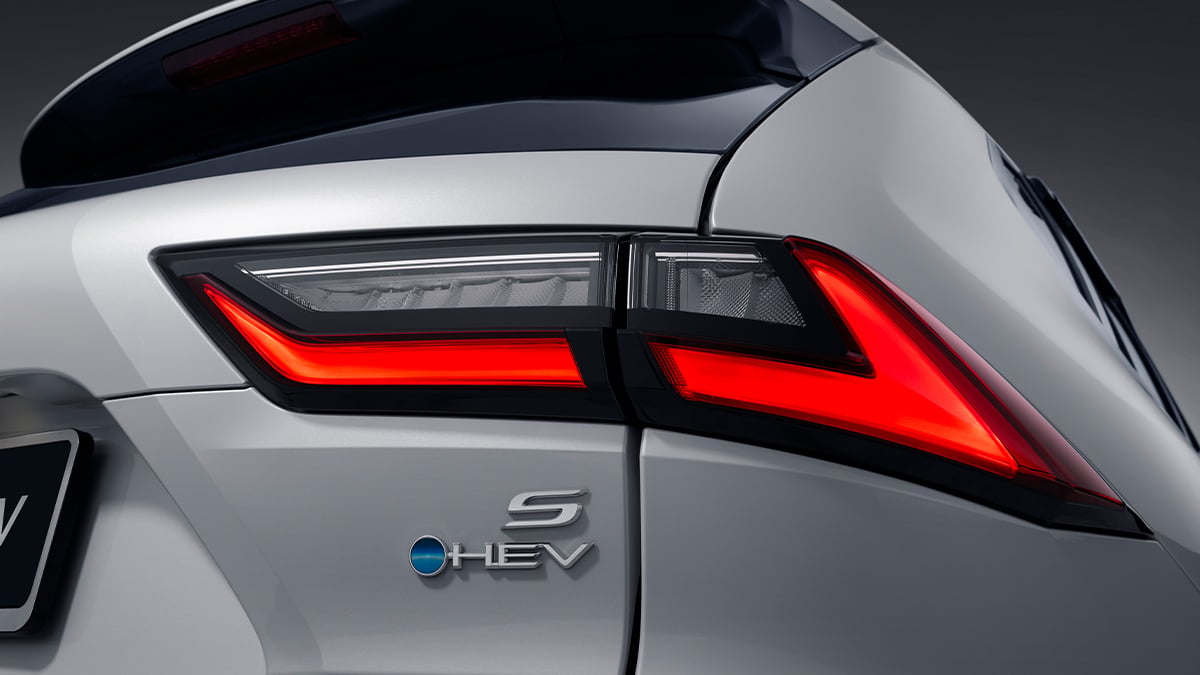 LED Rear Combination Lamps
