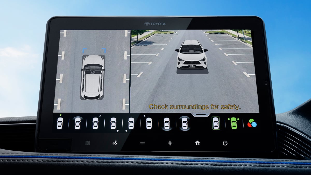 3D Panoramic View Monitor (PVM)