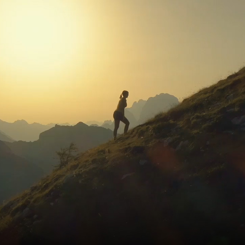 TOYOTA HYBRID ELECTRIC